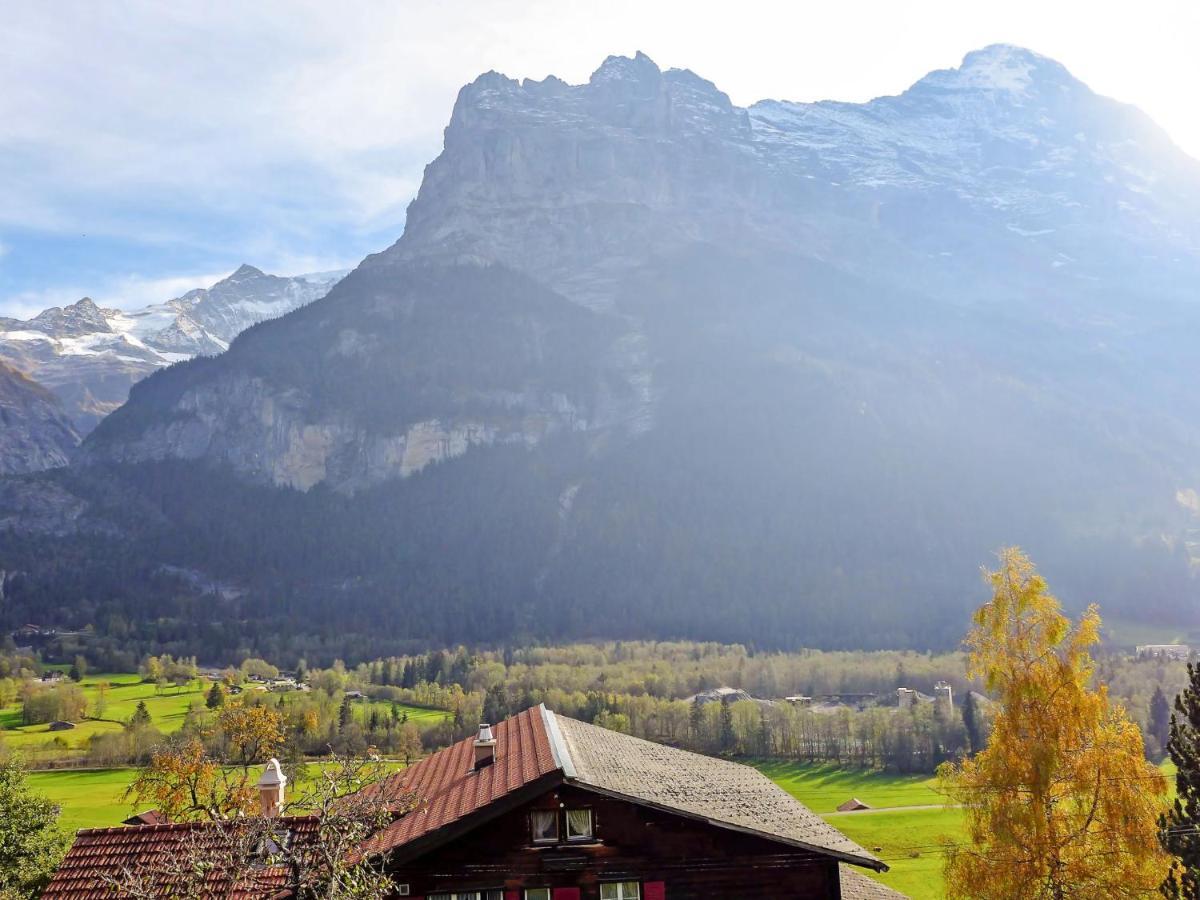 Holiday Home Chalet Ahornen By Interhome Grindelwald Zewnętrze zdjęcie