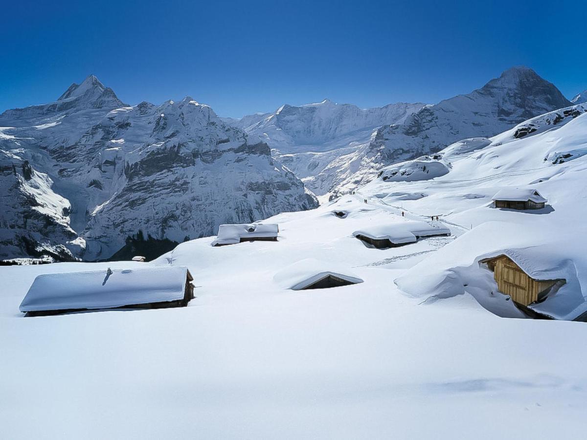 Holiday Home Chalet Ahornen By Interhome Grindelwald Zewnętrze zdjęcie