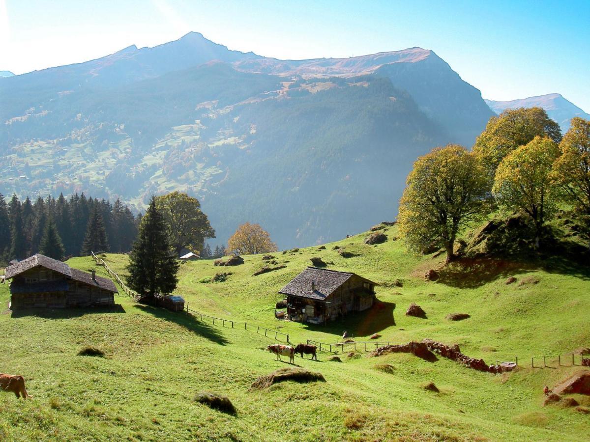 Holiday Home Chalet Ahornen By Interhome Grindelwald Zewnętrze zdjęcie